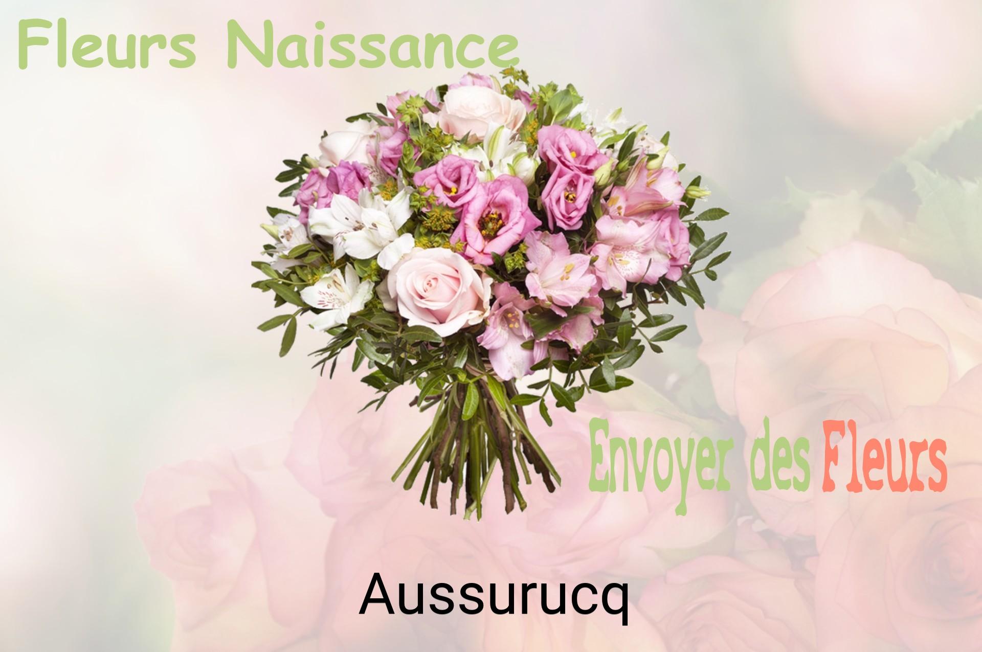 Bouquet de fleurs de naissance livré à Aussurucq